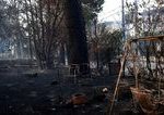Grecko kvoli velkym horucavam suzuju lesne poziare