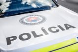 Policia vysetruje utok harpunou na muza pri Zvolene
