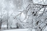 Noc prinesie snezenie a zradnu poladovicu Vietor na horach dosiahnne silu vichrice