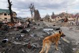 Europska unia zaviedla sankcie proti deviatim ruskym velitelom za masaker v Buci