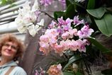 Farebny osial v Kosiciach Navstevnici obdivuju stovky tropickych orchidei