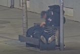 Kamera v Bratislave zachytila zlodeja pri cine Mestska policia tvrdi ze okradnutie spiaceho sledovala v priamom prenose