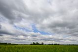 Narodna rada bude rokovat o vysloveni nedvery Robertovi Kalinakovi prehlad ocakavanych udalosti