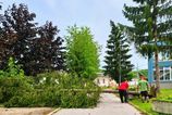 Silna vetrna smrst postihla Povazsku Bystricu Mesto hlasi velke mnozstvo polamanch stromov