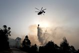 Holandski hasicii zasahuju pri poziari lesa v chranenej oblasti prirody